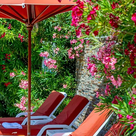 Servotel Saint-vincent 4* ניס