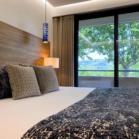 Servotel Saint-vincent 4* ניס