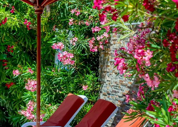 Servotel Saint-vincent 4* Niza